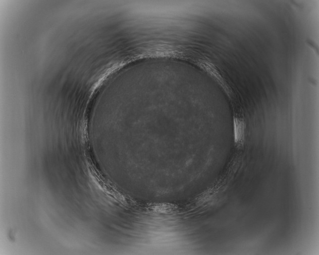 X0000102460579200808081229