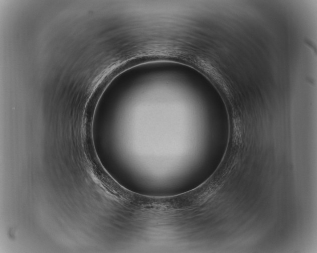 X0000102460580200808081229