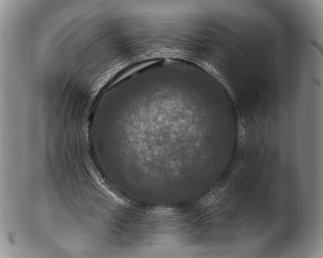 X0000102460581200808081229