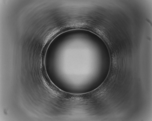 X0000102460582200808081229