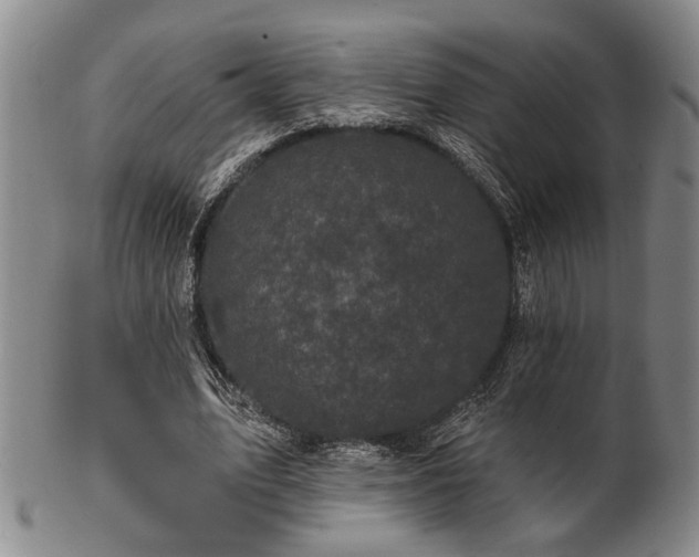 X0000102460583200808081229