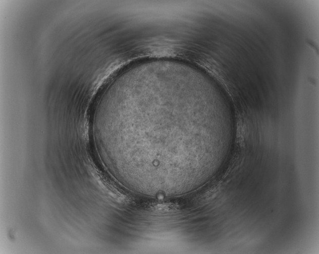 X0000102460584200808081229