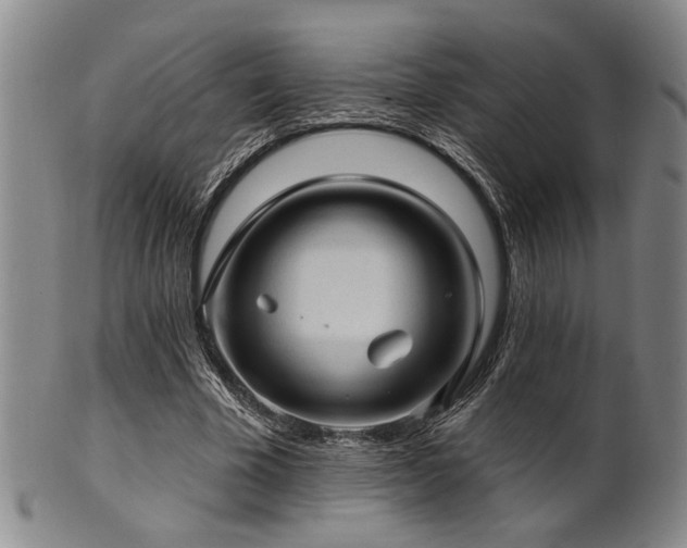 X0000102460585200808081229