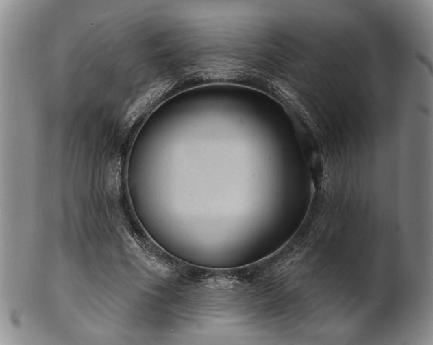 X0000102460586200808081229