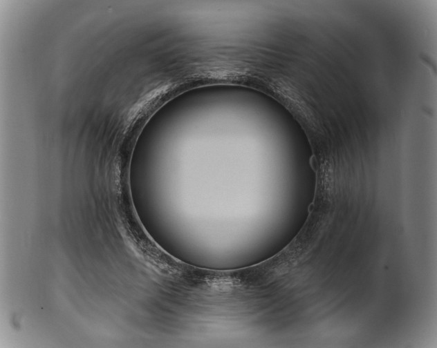 X0000102460587200808081229