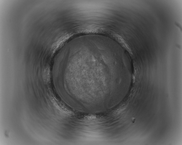 X0000102460588200808081229