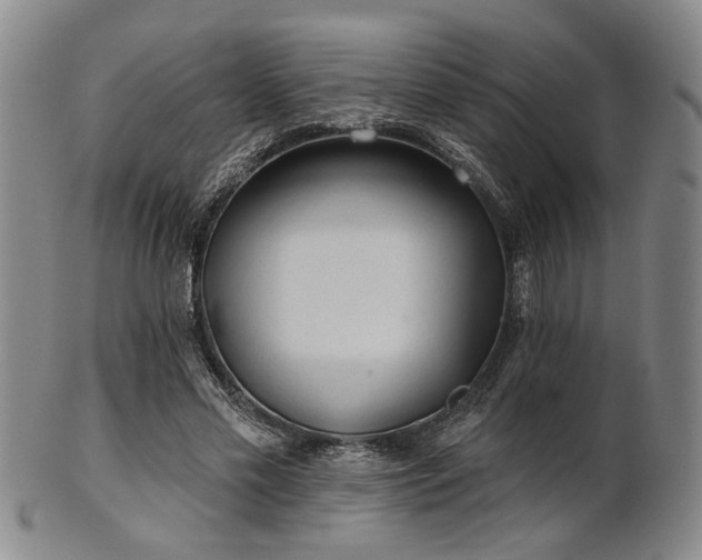 X0000102460589200808081229