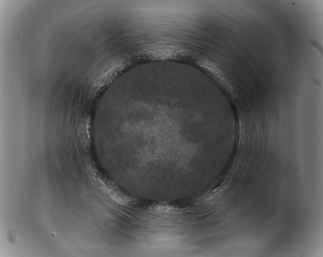 X0000102460590200808081229