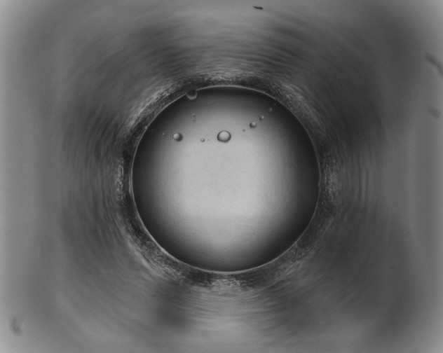 X0000102460591200808081229