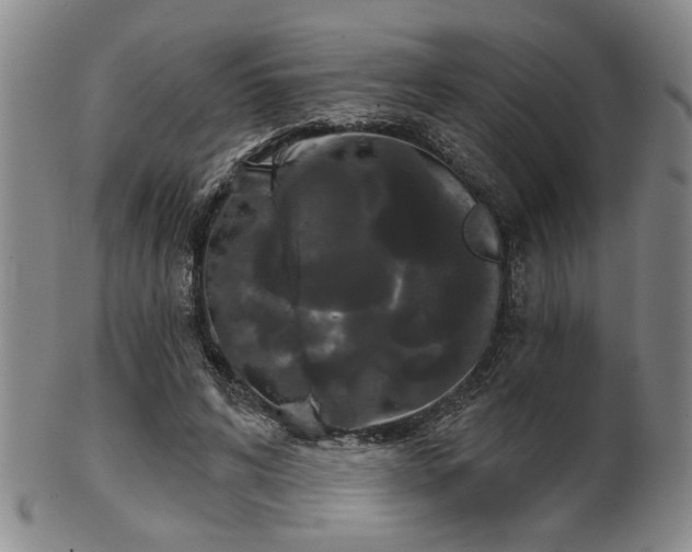 X0000102460592200808081229