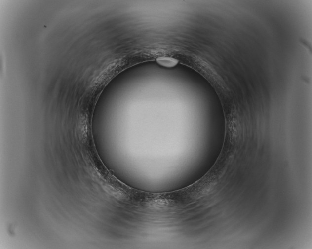 X0000102460593200808081229