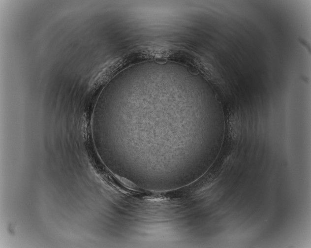 X0000102460594200808081229