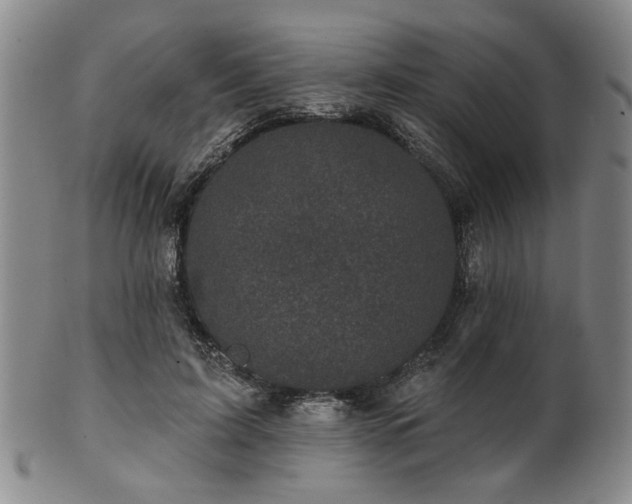 X0000102460595200808081229