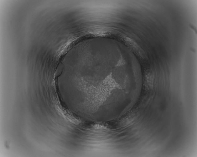 X0000102460596200808081229