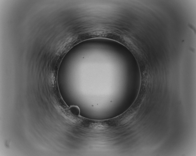 X0000102460597200808081229