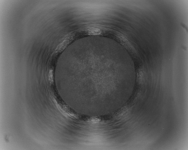 X0000102460598200808081229