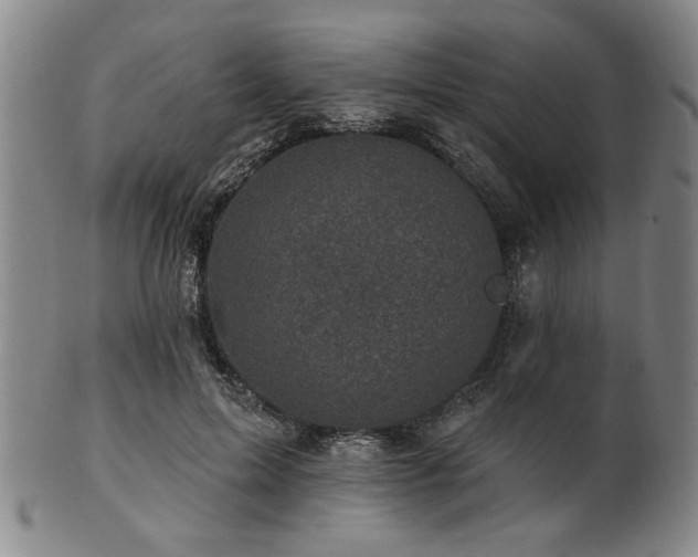 X0000102460599200808081229