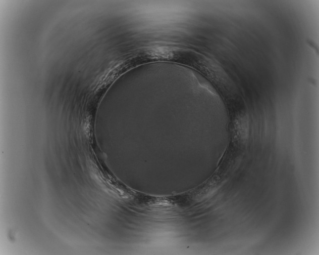 X0000102460600200808081229