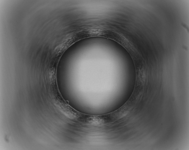 X0000102460601200808081229