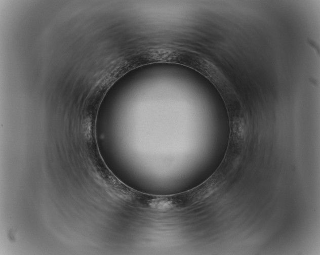 X0000102460602200808081229