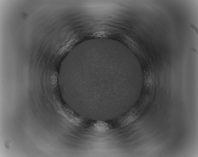 X0000102460603200808081229