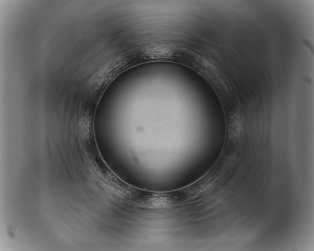 X0000102460604200808081229