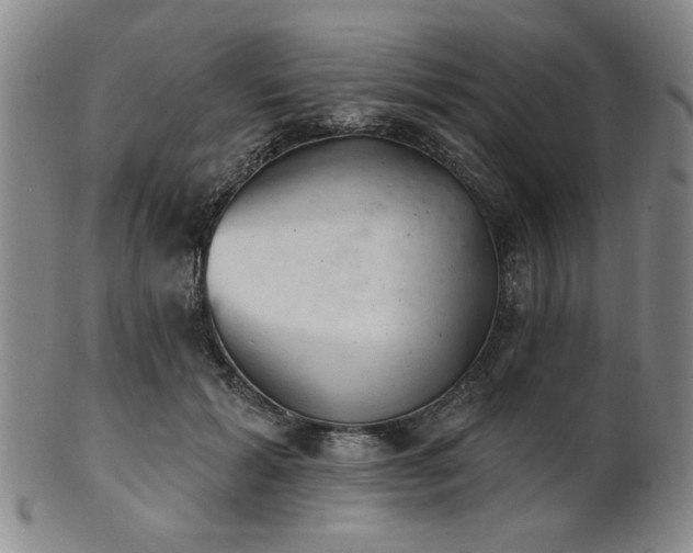 X0000102460605200808081229