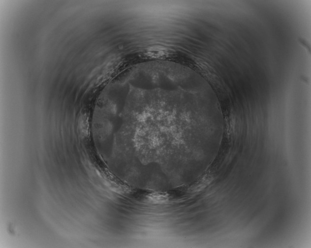 X0000102460606200808081229