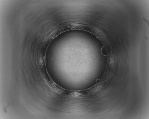 X0000102460607200808081229