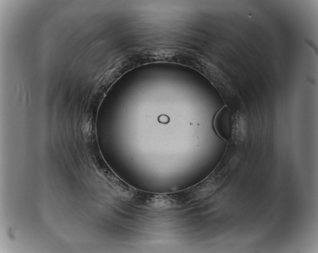 X0000102460608200808081229