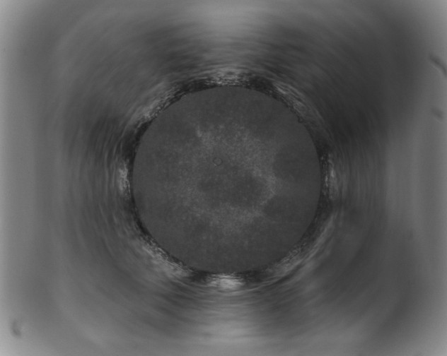 X0000102460610200808081229