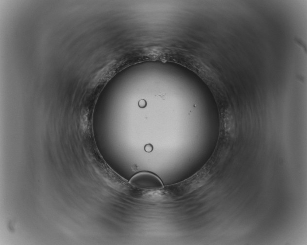 X0000102460611200808081229