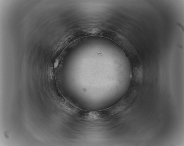 X0000102460612200808081229