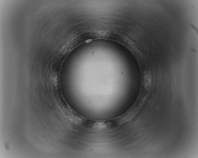 X0000102460613200808081229