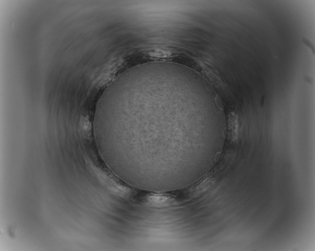 X0000102460614200808081229