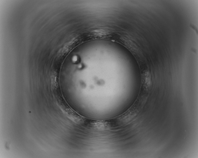 X0000102460615200808081229