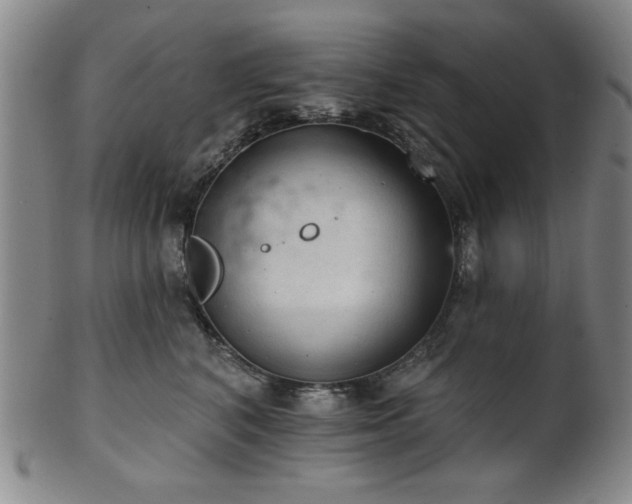 X0000102460616200808081229