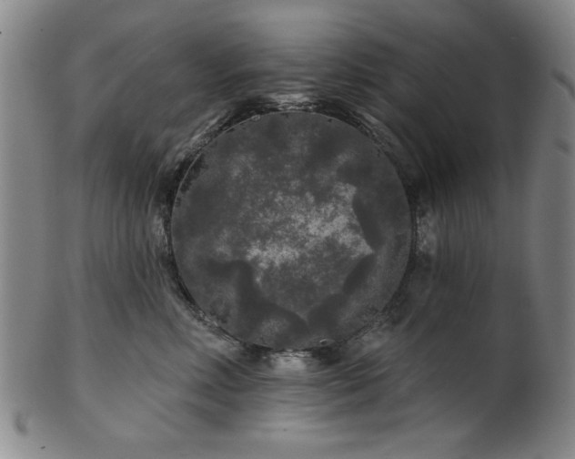 X0000102460618200808081229