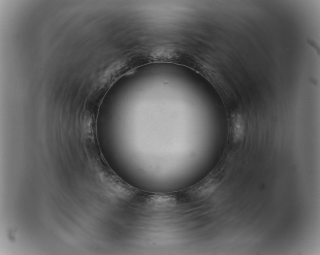 X0000102460619200808081228