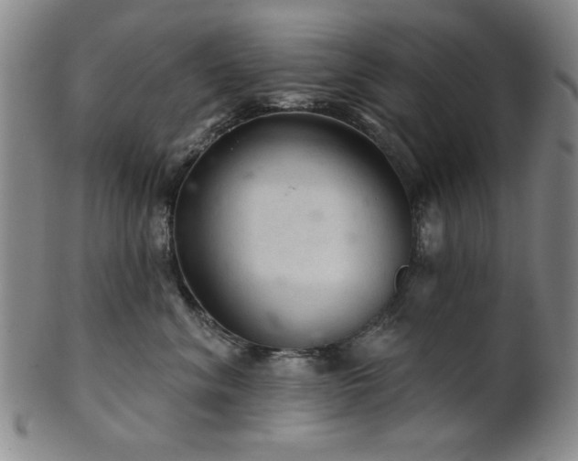 X0000102460620200808081228