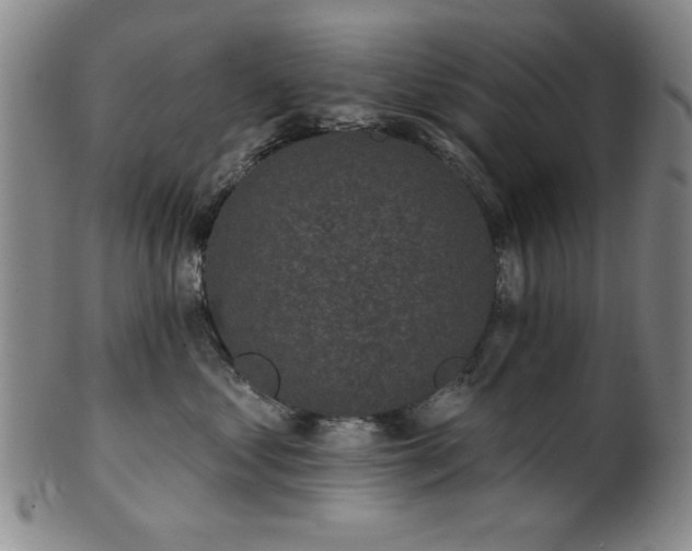 X0000102460621200808081228