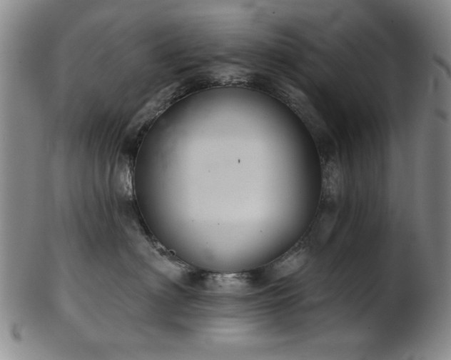 X0000102460622200808081228