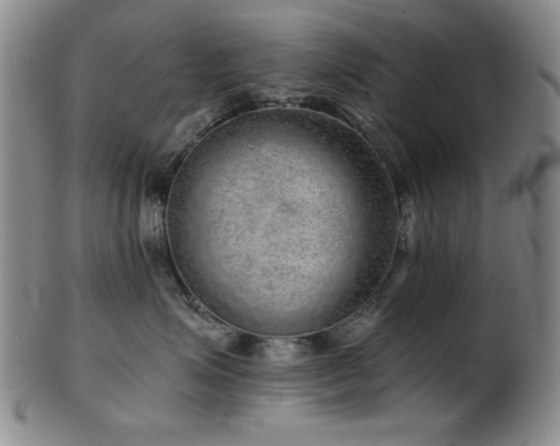 X0000102460623200808081228