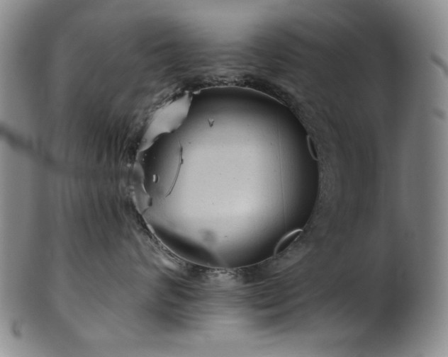 X0000102460624200808081228