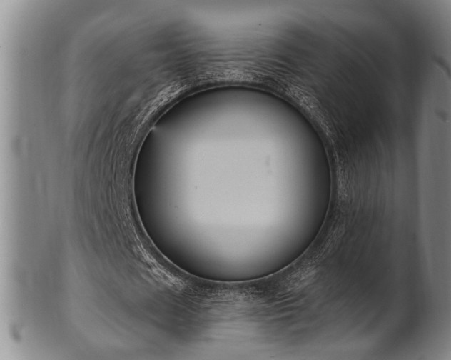 X0000102460625200808081228