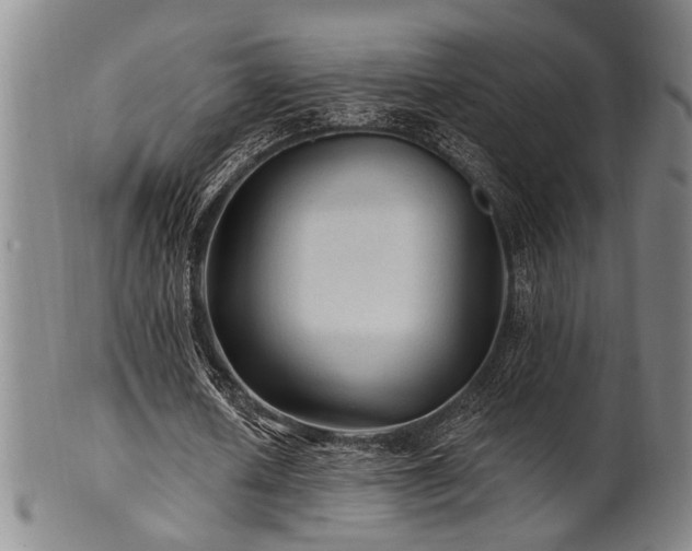 X0000102460626200808081228