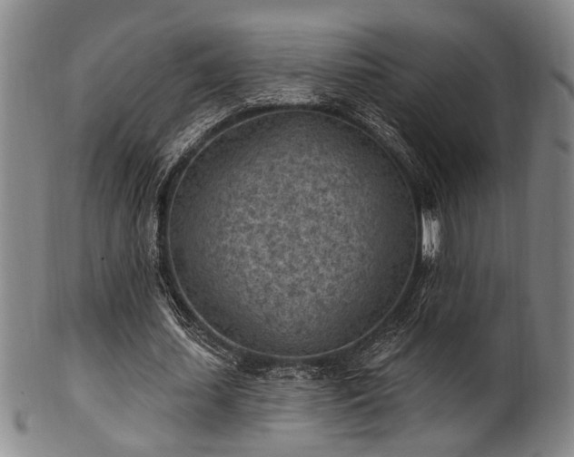 X0000102460627200808081228