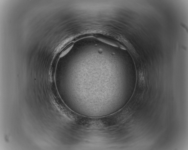 X0000102460628200808081228