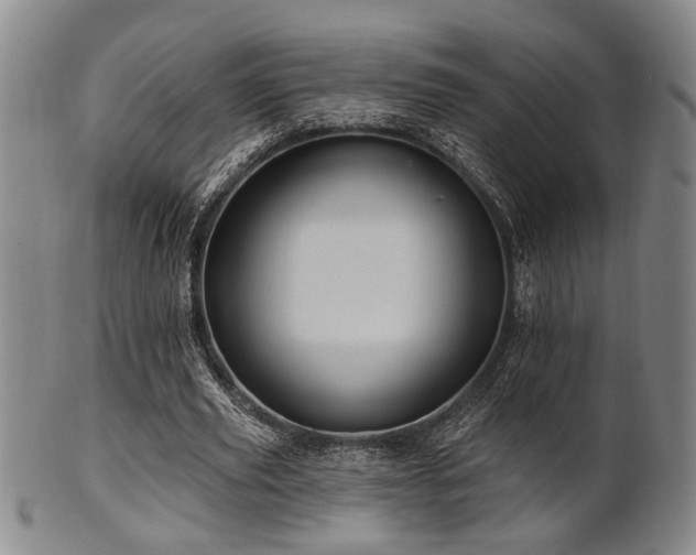 X0000102460629200808081228