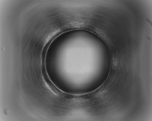 X0000102460630200808081228